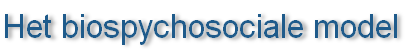 Het biospychosociale model