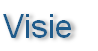 Visie 